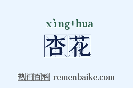 杏花是什么意思的图片
